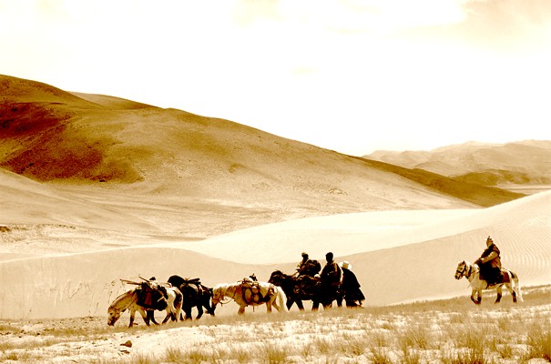 Lama on horseback